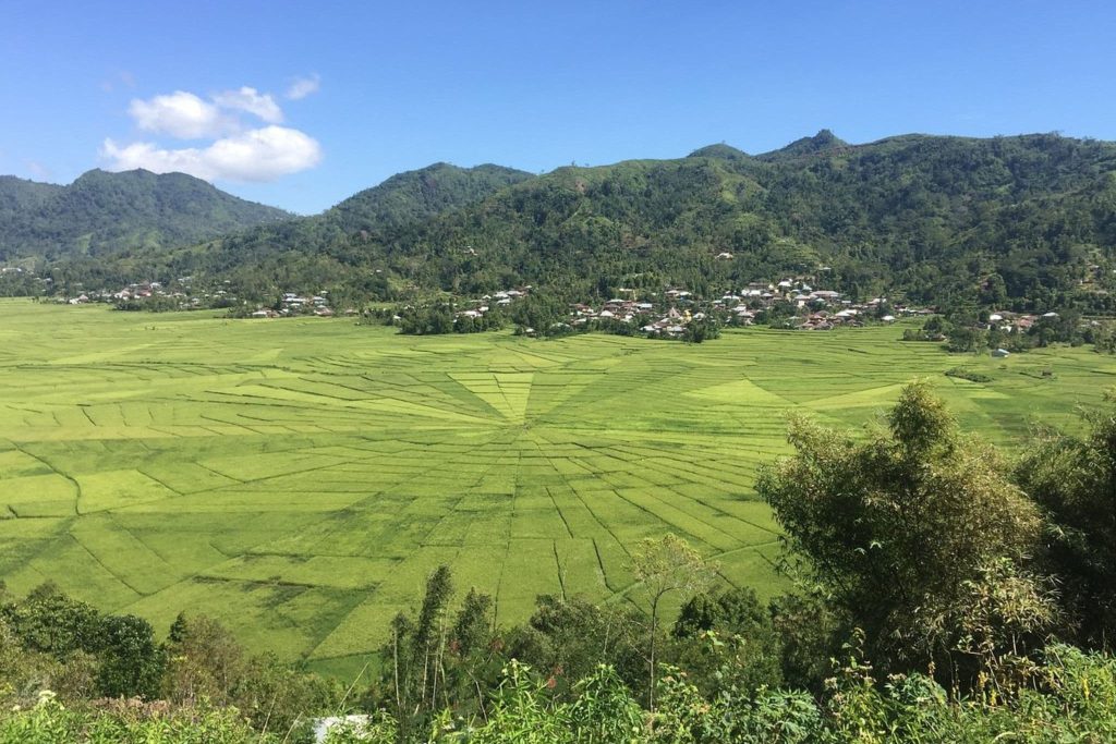 Lingko Spider Web Rice Fields ASITA NTT