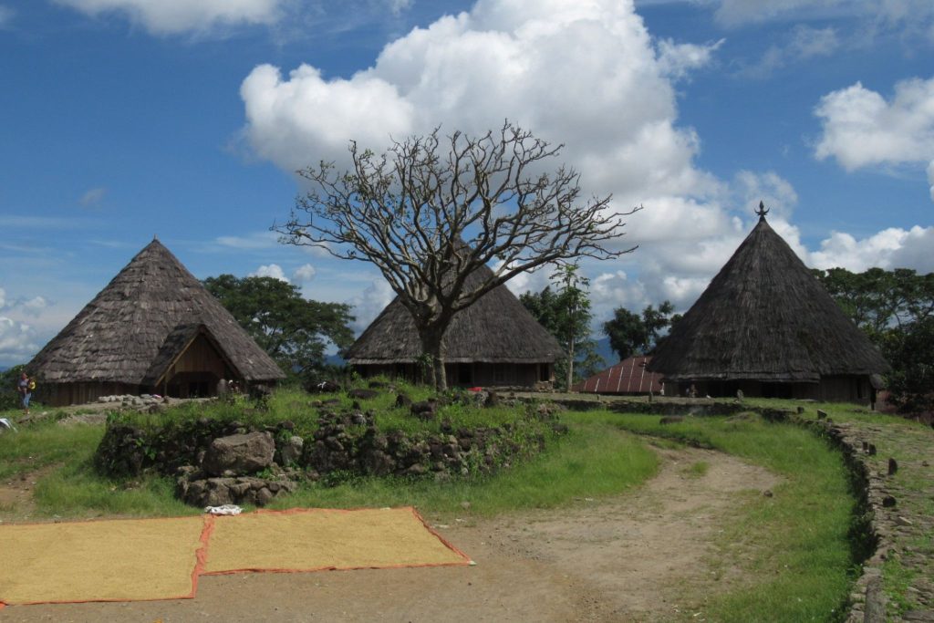 Ruteng Puu ASITA NTT Ruteng Puu ASITA NTT