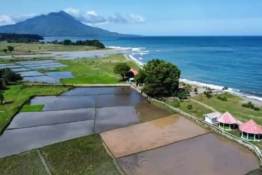 ligota beach asita ntt ligota beach asita ntt