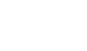 Logo WI Final 20092017-WHITE
